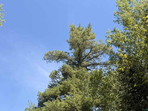 Tiny photo for 9685 Gunflint Tr, Grand Marais, MN 55604 (MLS # 6125791)