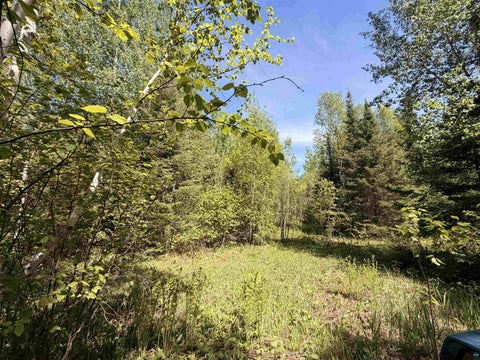 Tiny photo for 9685 Gunflint Tr, Grand Marais, MN 55604 (MLS # 6125791)