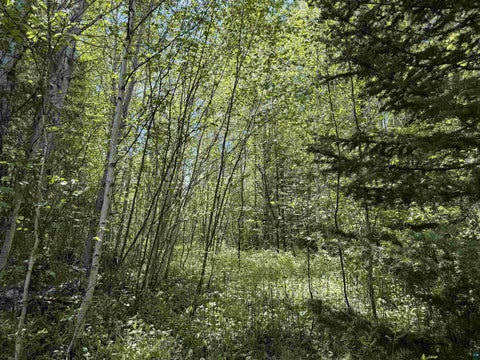 Tiny photo for 9685 Gunflint Tr, Grand Marais, MN 55604 (MLS # 6125791)