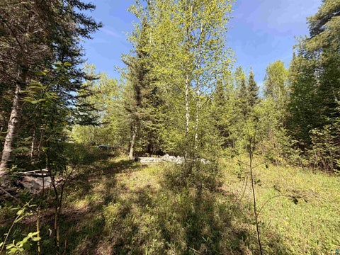Tiny photo for 9685 Gunflint Tr, Grand Marais, MN 55604 (MLS # 6125791)