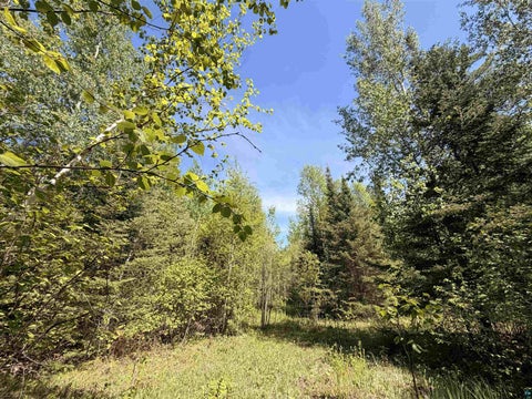 Tiny photo for 9685 Gunflint Tr, Grand Marais, MN 55604 (MLS # 6125791)