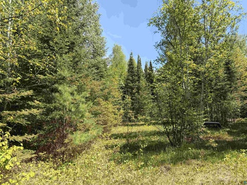 Tiny photo for 9685 Gunflint Tr, Grand Marais, MN 55604 (MLS # 6125791)