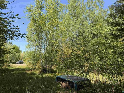 Tiny photo for 9685 Gunflint Tr, Grand Marais, MN 55604 (MLS # 6125791)