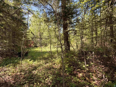 Tiny photo for 9685 Gunflint Tr, Grand Marais, MN 55604 (MLS # 6125791)