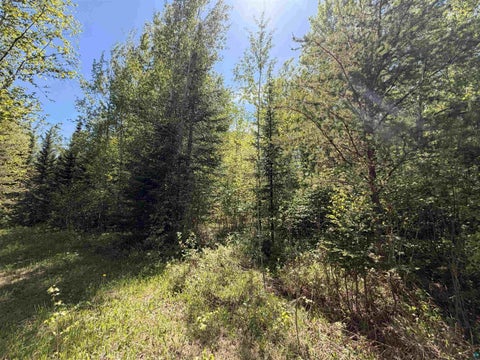 Tiny photo for 9685 Gunflint Tr, Grand Marais, MN 55604 (MLS # 6125791)