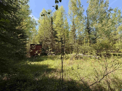 Photo of 9685 Gunflint Tr, Grand Marais, MN 55604 (MLS # 6125791)