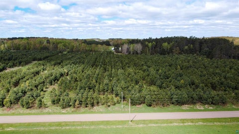 Tiny photo for XXXXX County Rd 104, Barnum, MN 55707 (MLS # 6127730)
