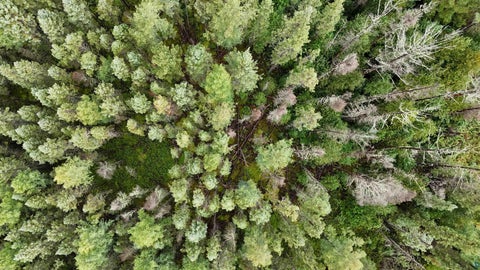 Tiny photo for TBD Highway 53, Orr, MN 55771 (MLS # 6127976)