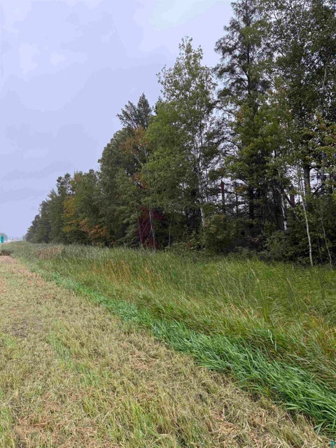Tiny photo for TBD Highway 53, Orr, MN 55771 (MLS # 6127976)
