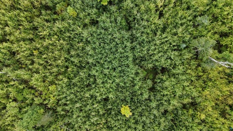 Tiny photo for TBD Highway 53, Orr, MN 55771 (MLS # 6127976)