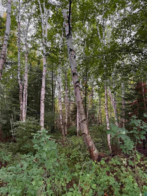Tiny photo for TBD Highway 53, Orr, MN 55771 (MLS # 6127976)