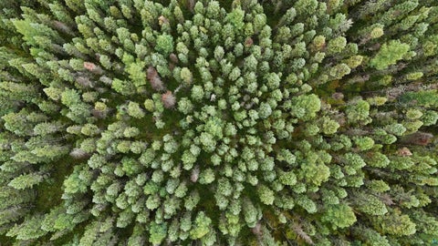 Tiny photo for TBD Highway 53, Orr, MN 55771 (MLS # 6127976)