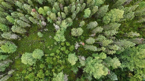 Tiny photo for TBD Highway 53, Orr, MN 55771 (MLS # 6127976)