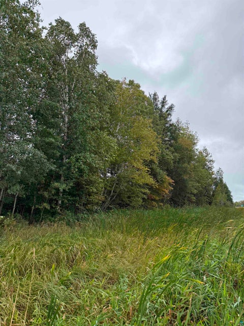 Tiny photo for TBD Highway 53, Orr, MN 55771 (MLS # 6127976)