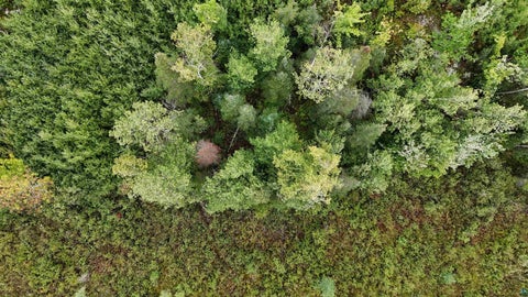Tiny photo for TBD Highway 53, Orr, MN 55771 (MLS # 6127976)