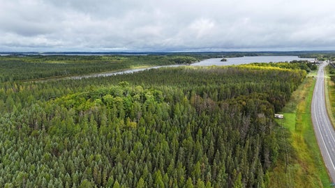 Tiny photo for TBD Highway 53, Orr, MN 55771 (MLS # 6127976)