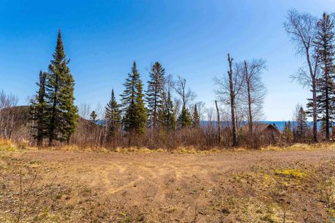 Tiny photo for XX Palisade Heights Tr, Silver Bay, MN 55614 (MLS # 6125278)
