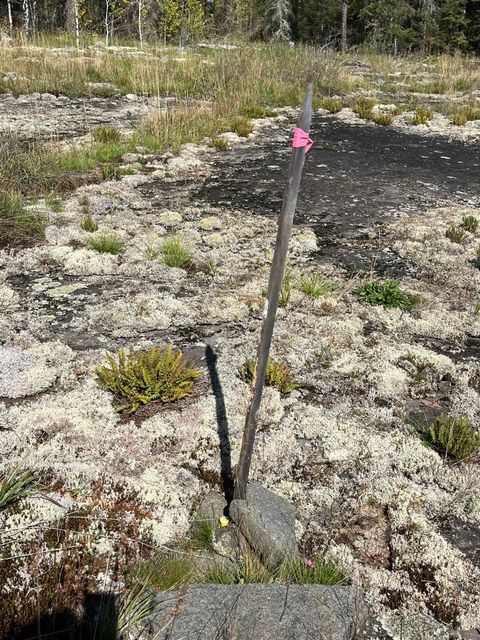 Tiny photo for 2 N Gunflint Lake Rd, Grand Marais, MN 55604 (MLS # 6122307)