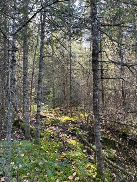 Tiny photo for 2 N Gunflint Lake Rd, Grand Marais, MN 55604 (MLS # 6122307)