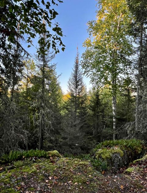 Photo of 2 N Gunflint Lake Rd, Grand Marais, MN 55604 (MLS # 6122307)