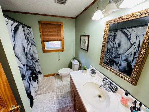 Tiny photo for 4826 County Rd 12, Moose Lake, MN 55767 (MLS # 6126635)