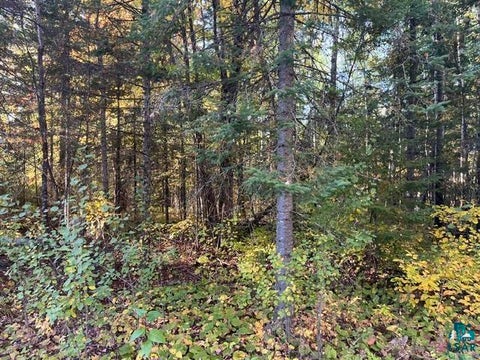 Tiny photo for TBD Lost Lake Rd, Tower, MN 55790 (MLS # 6128286)