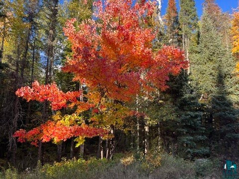 Photo of TBD Lost Lake Rd, Tower, MN 55790 (MLS # 6128286)
