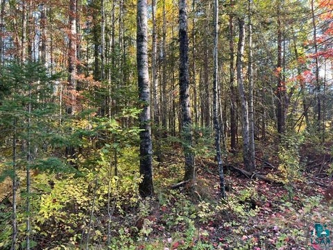 Tiny photo for TBD Lost Lake Rd, Tower, MN 55790 (MLS # 6128286)