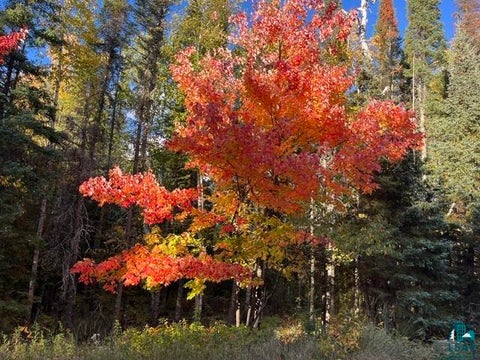 Tiny photo for TBD Lost Lake Rd, Tower, MN 55790 (MLS # 6128286)