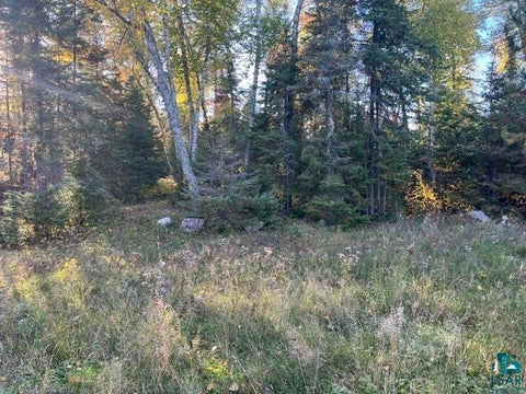 Tiny photo for TBD Lost Lake Rd, Tower, MN 55790 (MLS # 6128286)