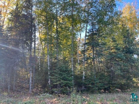 Tiny photo for TBD Lost Lake Rd, Tower, MN 55790 (MLS # 6128286)