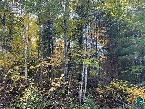 Tiny photo for TBD Lost Lake Rd, Tower, MN 55790 (MLS # 6128286)