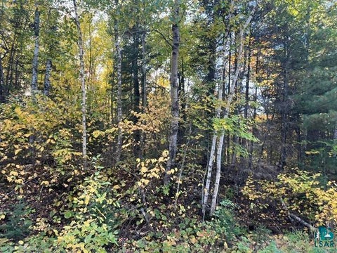 Tiny photo for TBD Lost Lake Rd, Tower, MN 55790 (MLS # 6128286)
