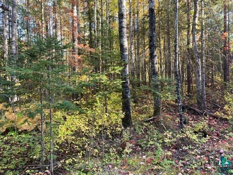 Tiny photo for TBD Lost Lake Rd, Tower, MN 55790 (MLS # 6128286)