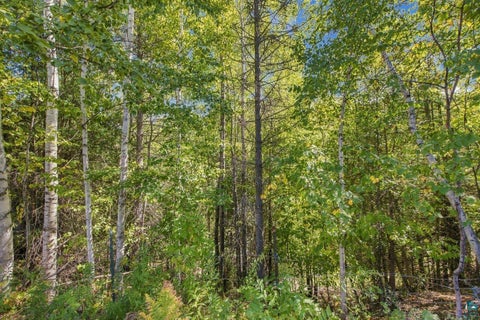 Tiny photo for 65889 Old County Rd, Marengo, WI 54855 (MLS # 6128000)