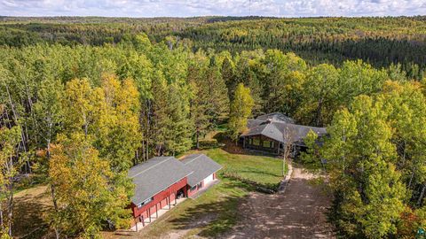 Tiny photo for 14108 Fall Lake Rd, Ely, MN 55731 (MLS # 6124302)