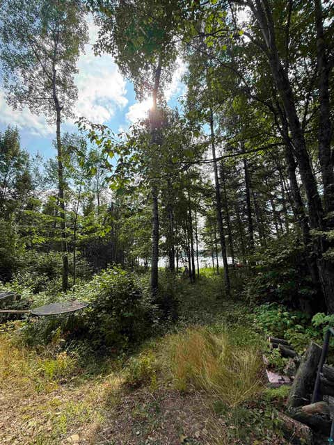 Tiny photo for 4 Linwood Shores Rd, Makinen, MN 55763 (MLS # 6127540)