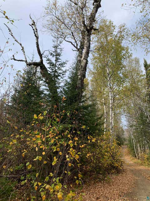 Tiny photo for XXB Rocky Top Trail, Hovland, MN 55606 (MLS # 6126654)