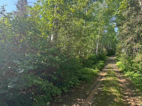 Tiny photo for XXB Rocky Top Trail, Hovland, MN 55606 (MLS # 6126654)