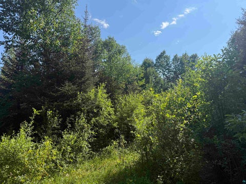 Tiny photo for XXB Rocky Top Trail, Hovland, MN 55606 (MLS # 6126654)