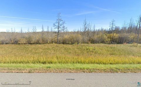 Tiny photo for TBD Highway 53, International Falls, MN 56649 (MLS # 6125246)