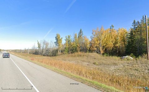 Tiny photo for TBD Highway 53, International Falls, MN 56649 (MLS # 6125246)