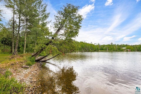 Tiny photo for 95824 Pine Island, Tower, MN 55790 (MLS # 6126156)