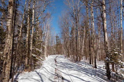 Tiny photo for 5947 E St. Louis River Rd, Proctor, MN 55810 (MLS # 6123993)