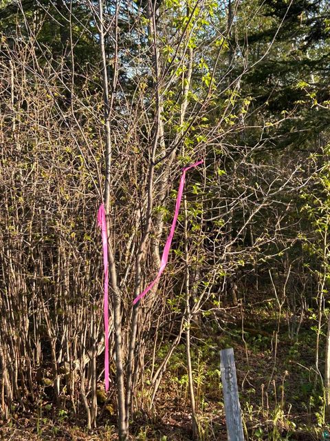 Tiny photo for XXX Tall Timber Tr, Lutsen, MN 55612 (MLS # 6125652)