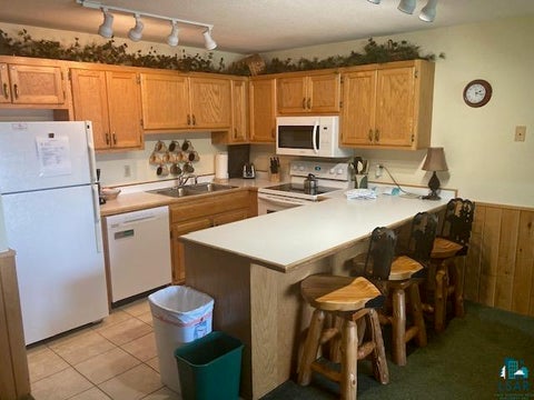 Tiny photo for 1602 Superior Shores #119, Two Harbors, MN 55616 (MLS # 6126333)