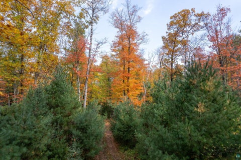 Tiny photo for 7622 S County Rd A, Superior, WI 54880 (MLS # 6128449)