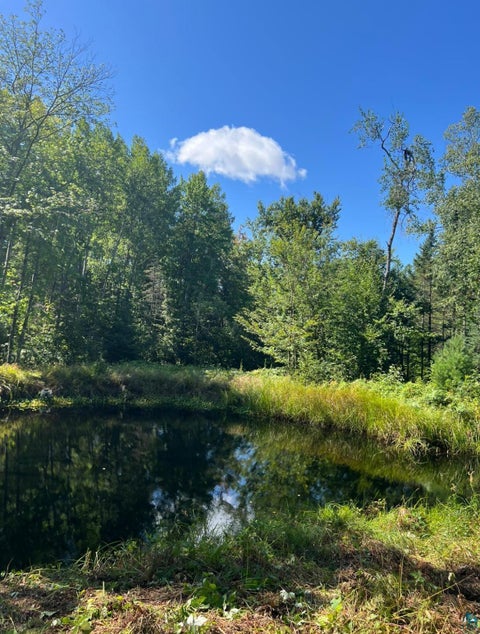 Tiny photo for 7622 S County Rd A, Superior, WI 54880 (MLS # 6128449)