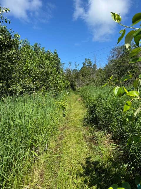Tiny photo for 1317 Shoreview Rd, Two Harbors, MN 55616 (MLS # 6126602)