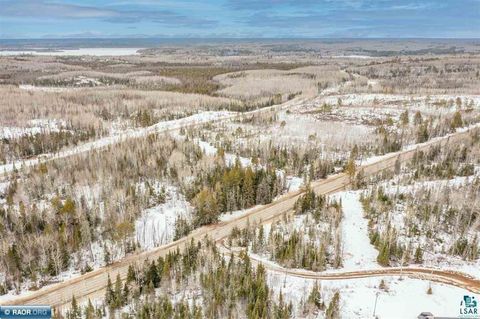 Tiny photo for TBD Highway 169, Soudan, MN 55782 (MLS # 6124060)